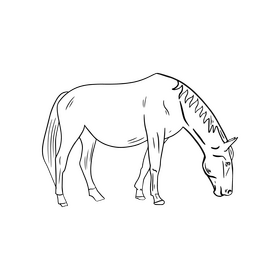 Horse black and white clipart