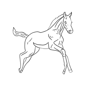 Free horse drawing black and white clipart free download