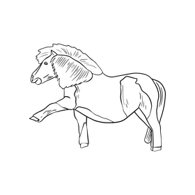 Beautiful horse, mare black and white clipart