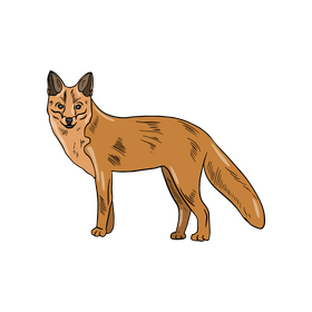 Cute fox clipart