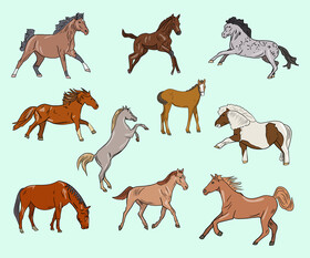 Free horse vector