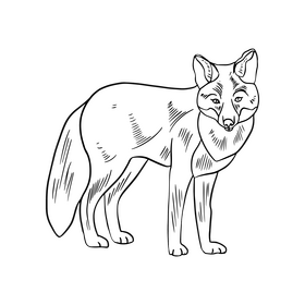 Fox black and white clipart