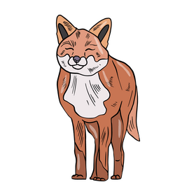 Cute fox illustration clipart