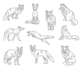 Free foxes black and white vector