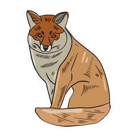 Fox clipart