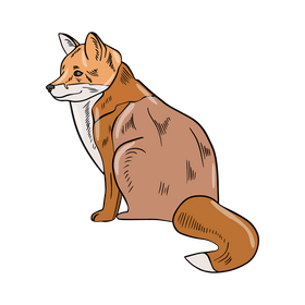 Fox clipart