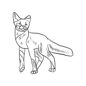 Fox illustration black and white clipart
