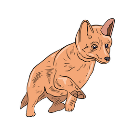 Fox clipart