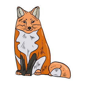 Cute fox illustration clipart