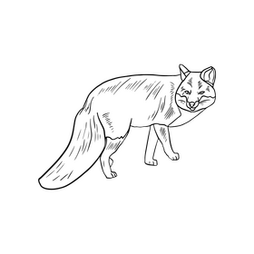 Fox black and white clipart