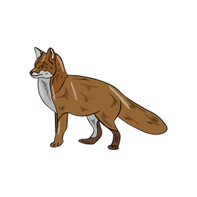 Free fox clipart