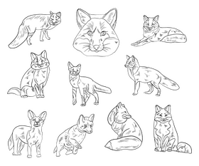 Fox black and white vector