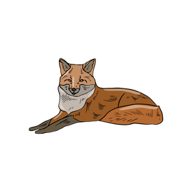 Fox clipart
