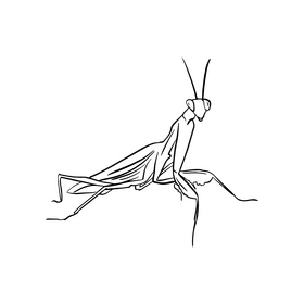 Mantis black and white clipart