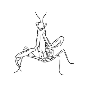 Free mantis drawing black and white clipart