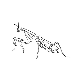 Mantis black and white clipart