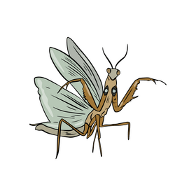 Mantis drawing clipart