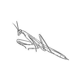 Mantis black and white clipart