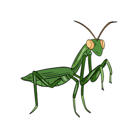 Mantis Cartoon Clipart Free Download