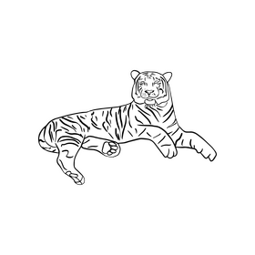 Cartoon tiger drawing black and white clipart