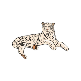Cartoon tiger drawing clipart