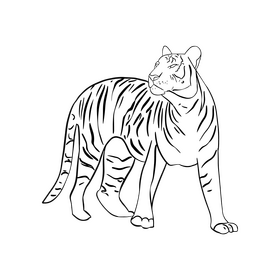 Free tiger illustration black and white clipart