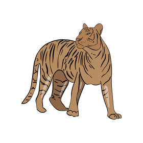 Free tiger illustration clipart