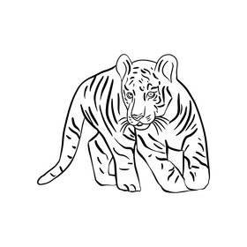 Tiger black and white clipart