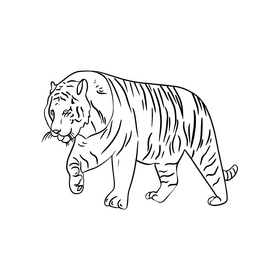 Cartoon tiger black and white clipart
