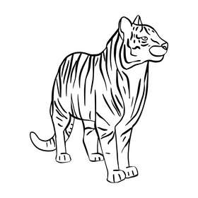 Cartoon tiger drawing black and white clipart vector free download