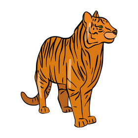 Cartoon tiger drawing clipart