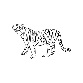 Tiger black and white clipart