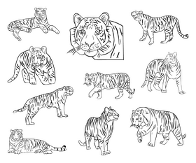 Cute tigers black and white vector free download