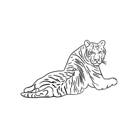 Tiger illustration black and white clipart