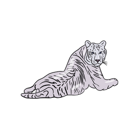Tiger illustration clipart