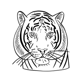 Cartoon tiger drawing black and white clipart