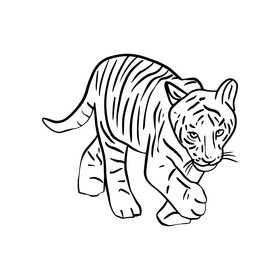 Cute tiger black and white clipart