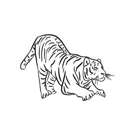 Tiger cartoon black and white clipart