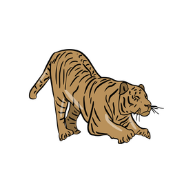 Tiger cartoon clipart