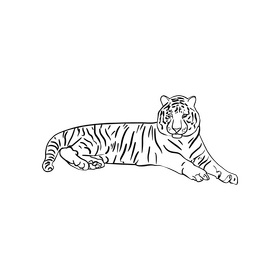 Cute tiger illustration black and white clipart