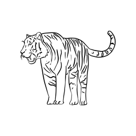 Tiger cartoon black and white clipart