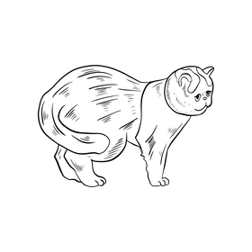 Cartoon cat illustration black and white clipart