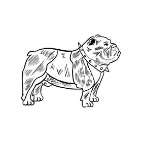 Boxer dog black and white clipart
