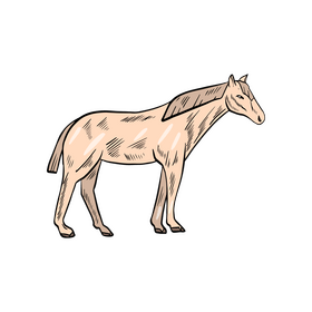 Cute horse cartoon clipart