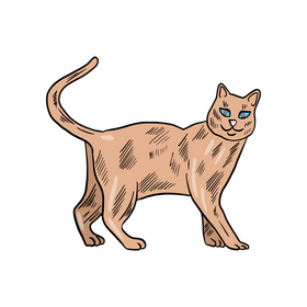 Free cat drawing clipart