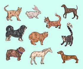 Cartoon animals vector