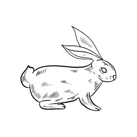 Cartoon rabbit black and white clipart