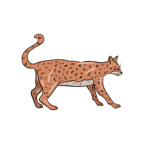 Free cat cartoon clipart