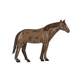 Cute horse drawing clipart