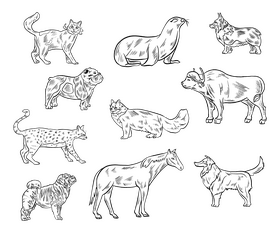 Free animal black and white vector